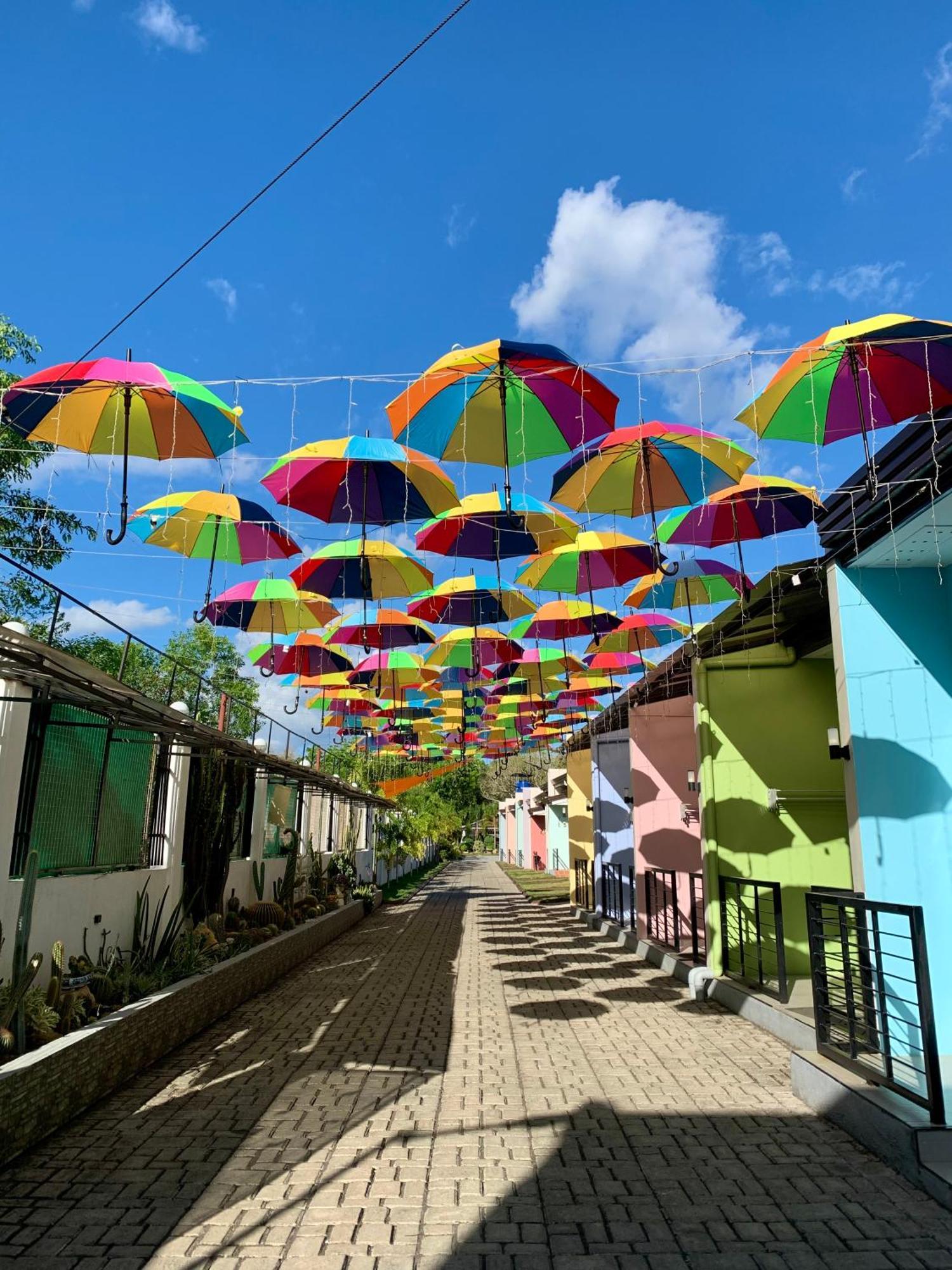 Sunshine Stay Panglao Dış mekan fotoğraf
